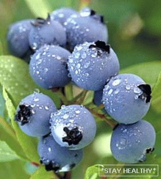 7-poleznih-productov-dlya-pohudeniya