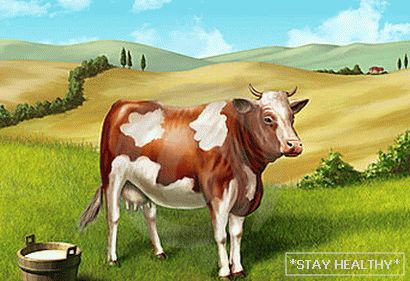 Zašto san o kravi