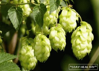 kak-uvelichit-grud-narodnimi-sredstvami