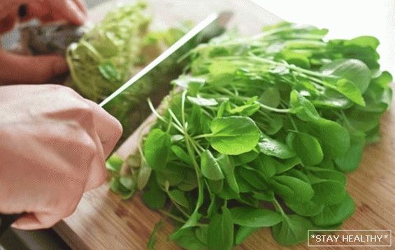 Kako zeleno lisnato povrće štiti zdravlje jetre?