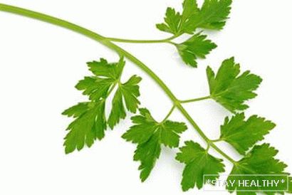 petrushka-dlya-pohudeniya