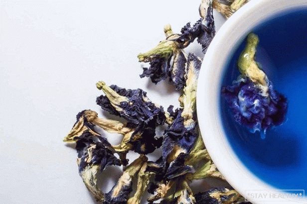 Slimming при помощи синего чая